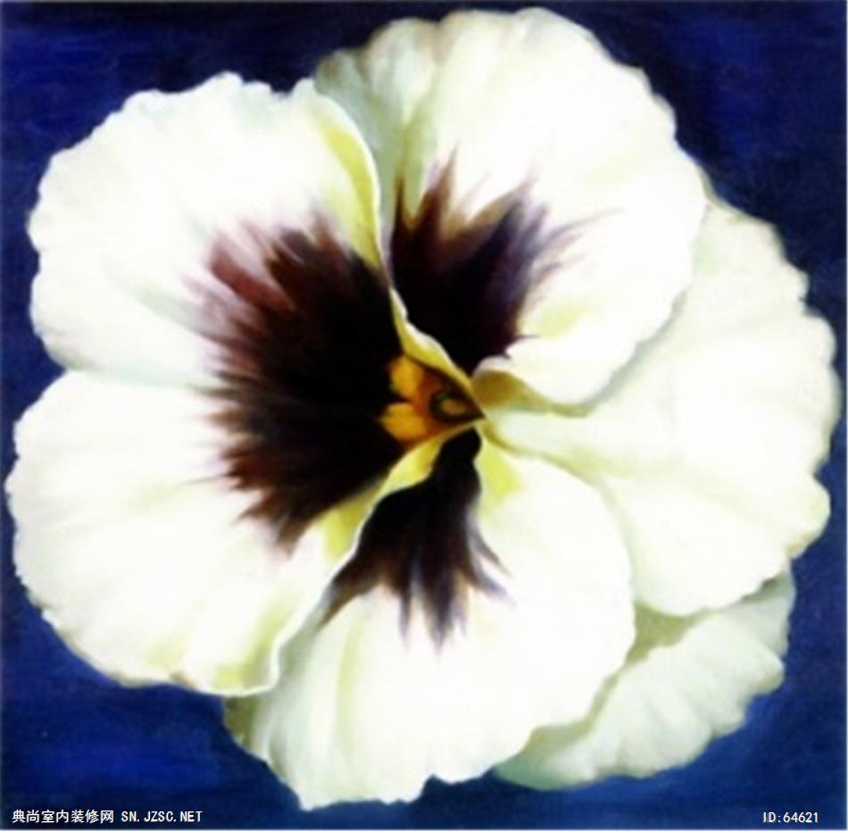 花卉画 (971)