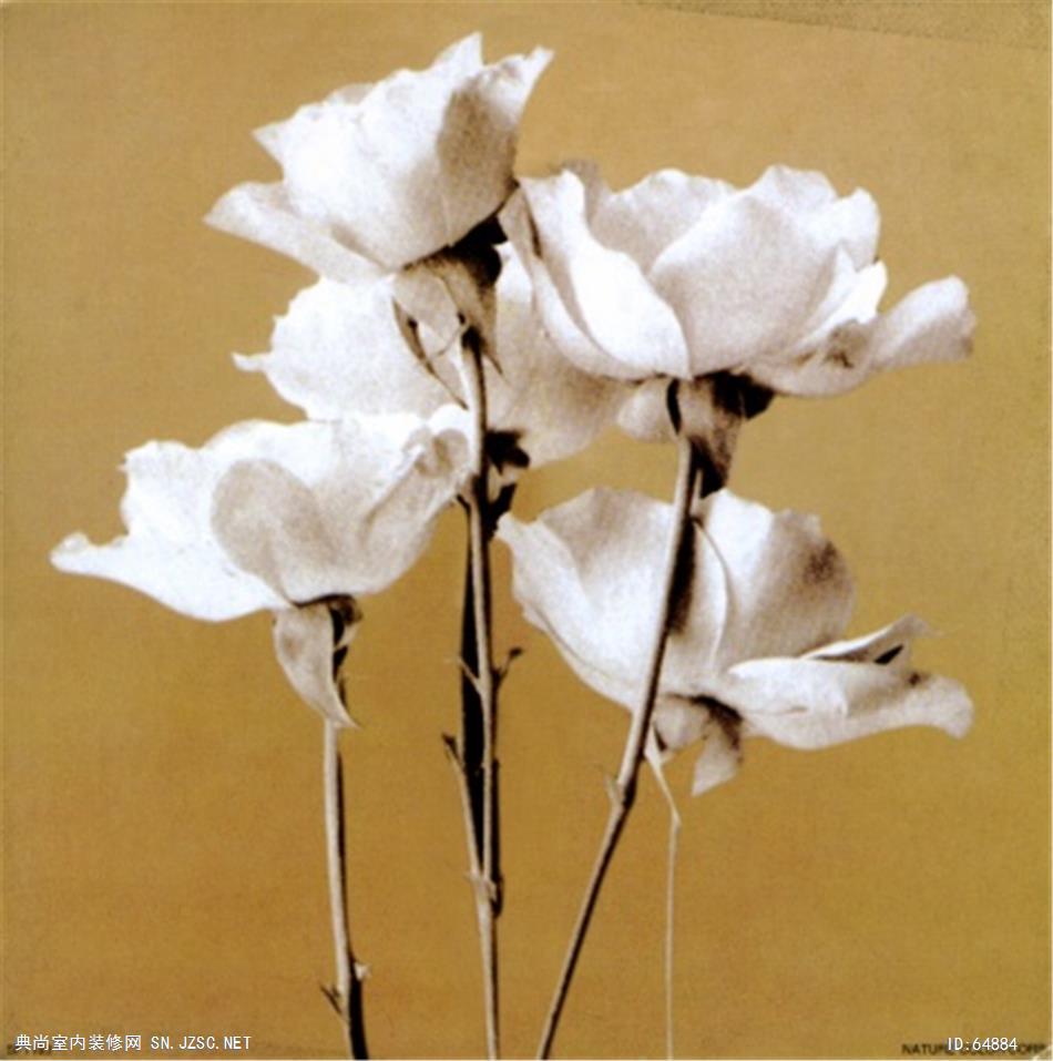 花卉画 (1093)