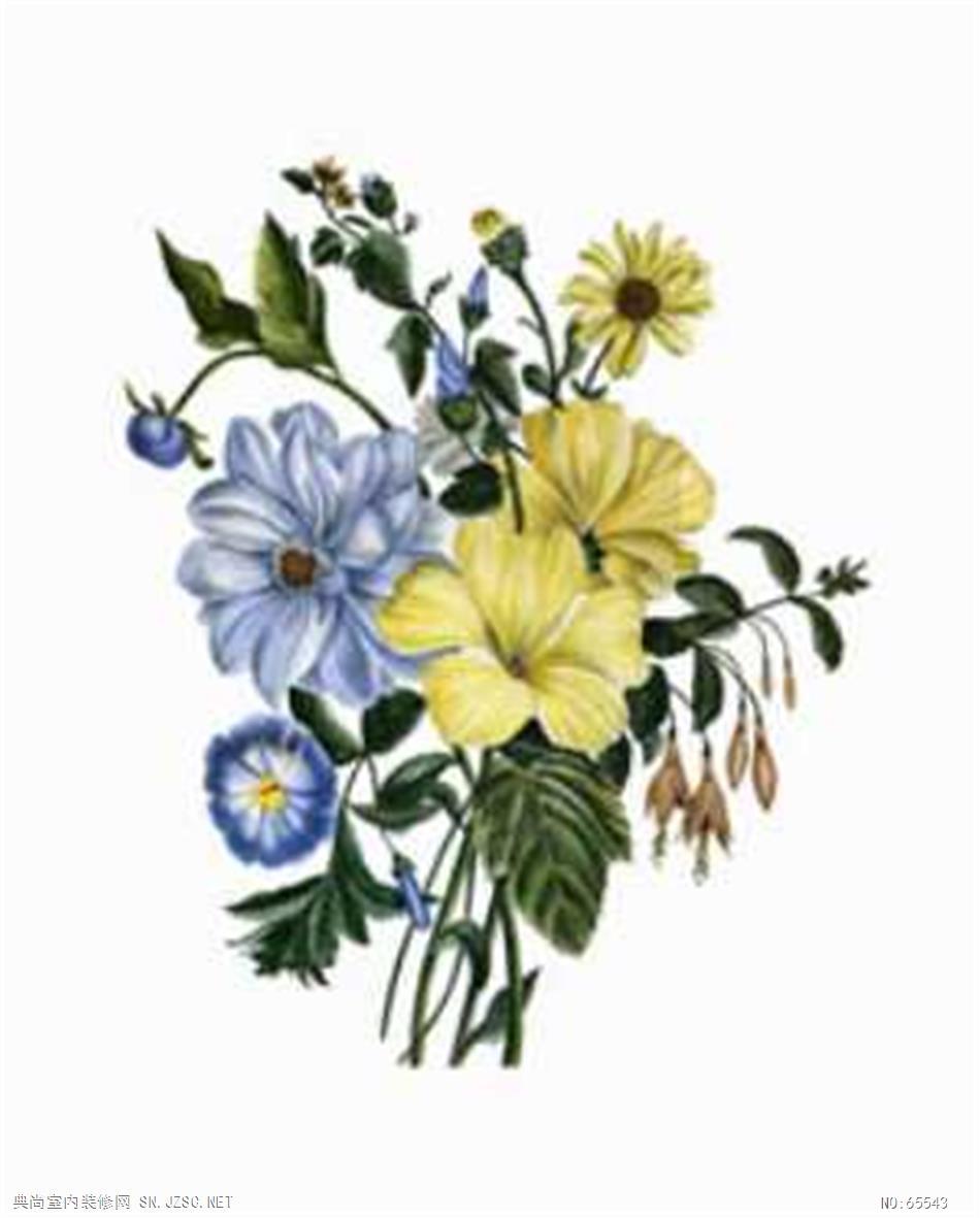 花卉画 (447)