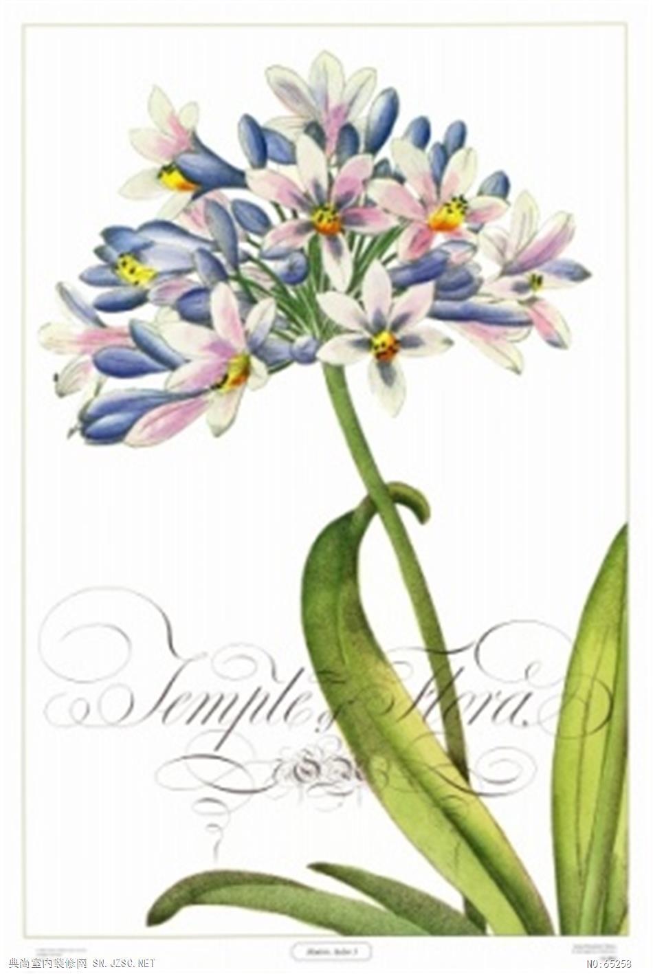 花卉画 (285)