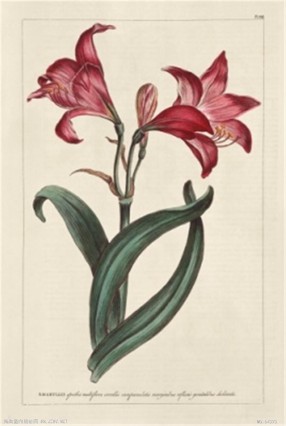 花卉画 (1659)