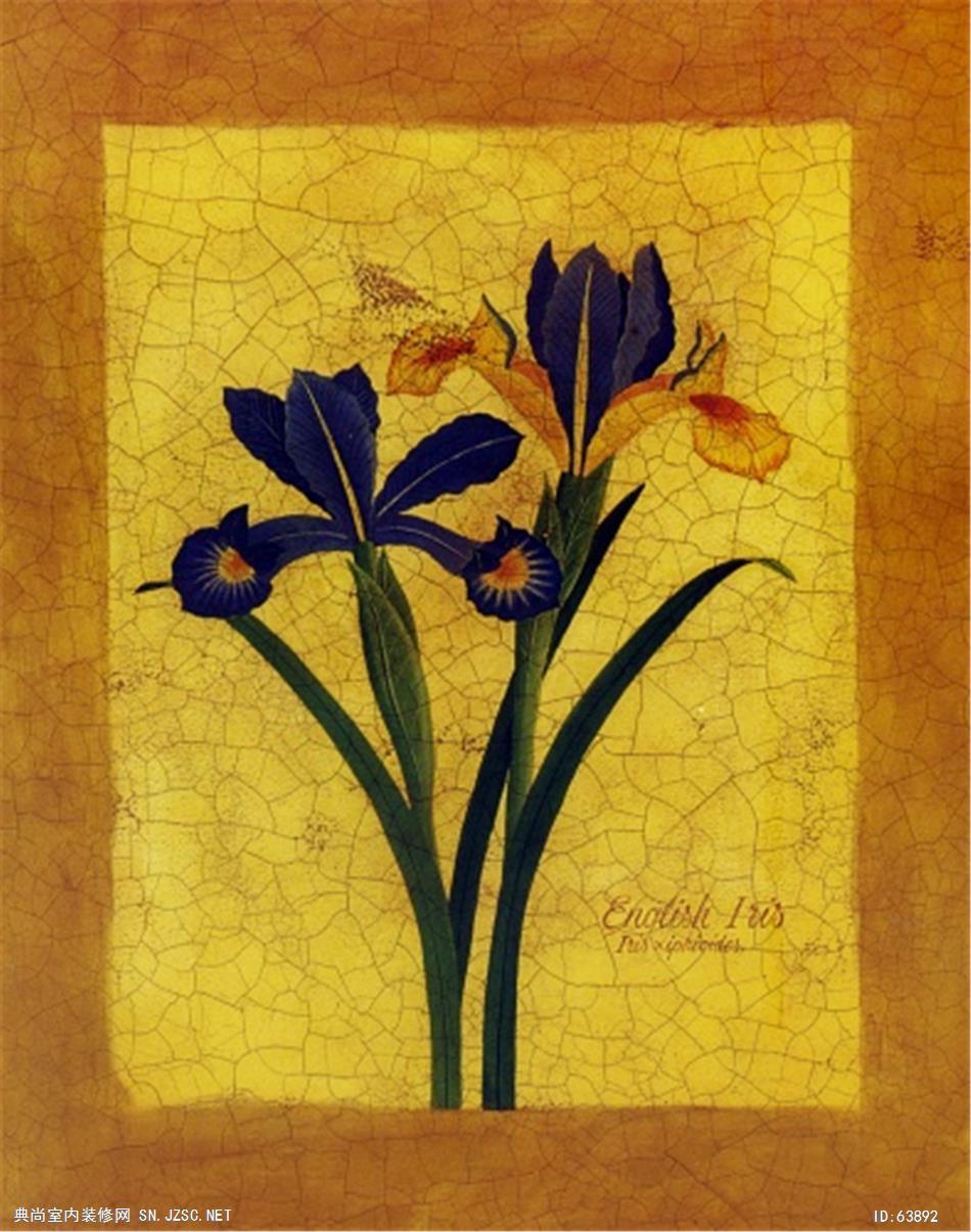 花卉画 (590)