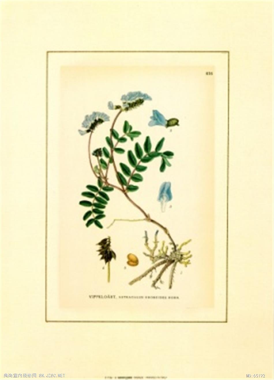 花卉画 (250)