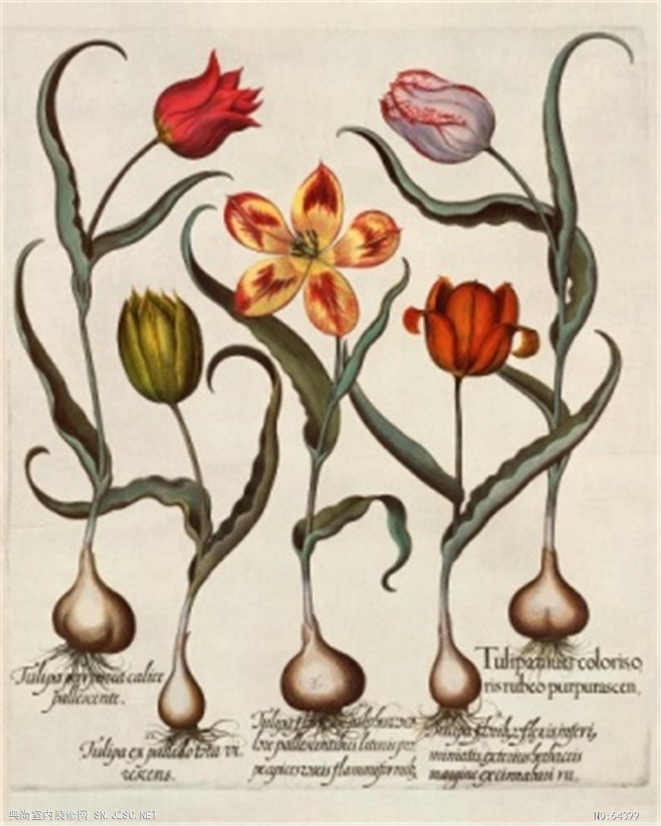 花卉画 (1662)