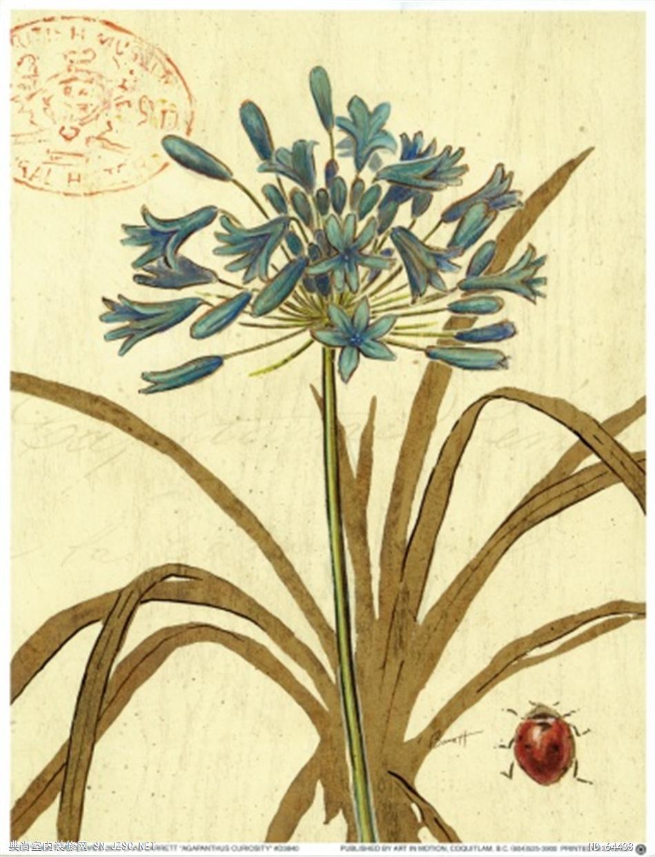 花卉画 (893)