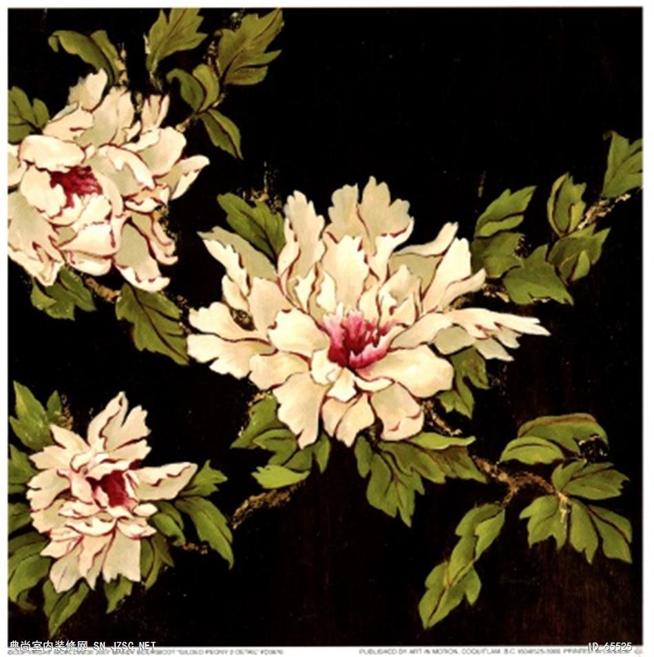 花卉画 (429)