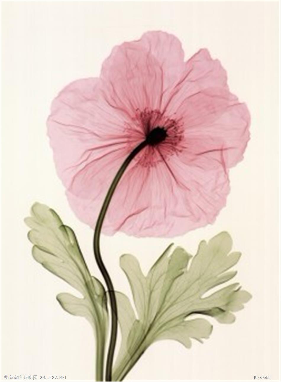 花卉画 (1451)