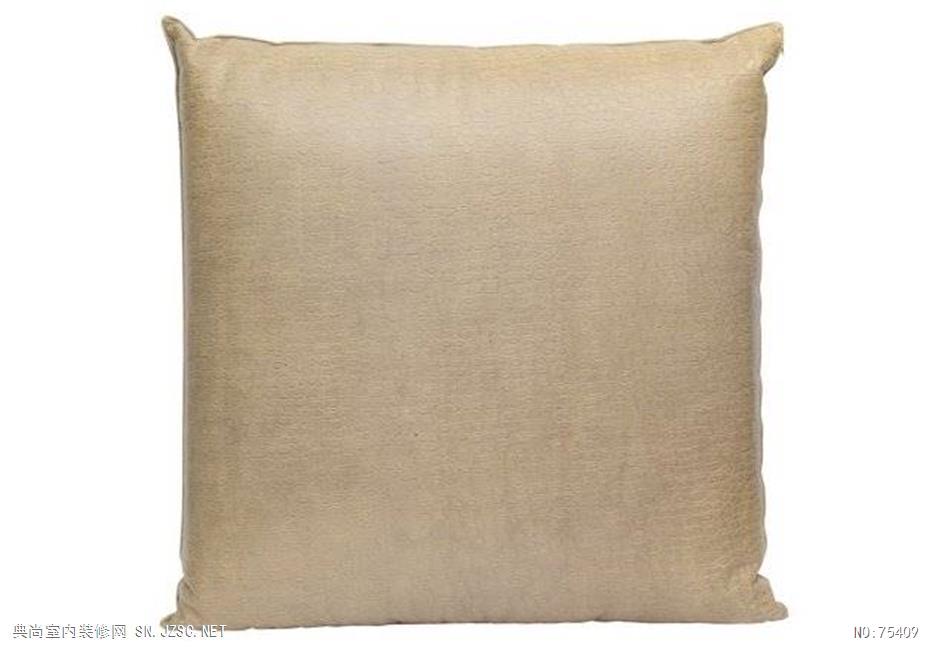 精品抱枕 (1763)