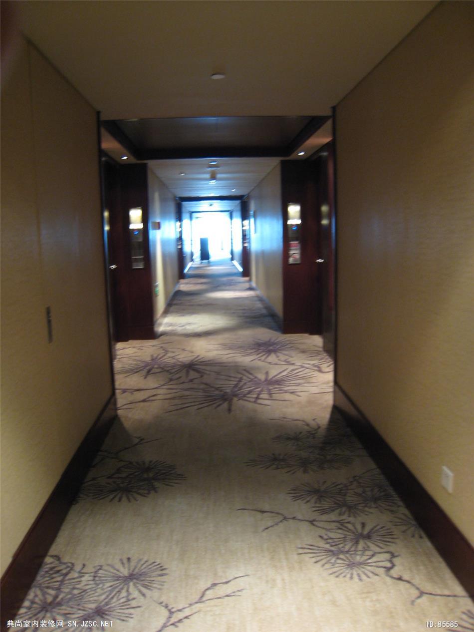 酒店客房走廊通道101 (75)