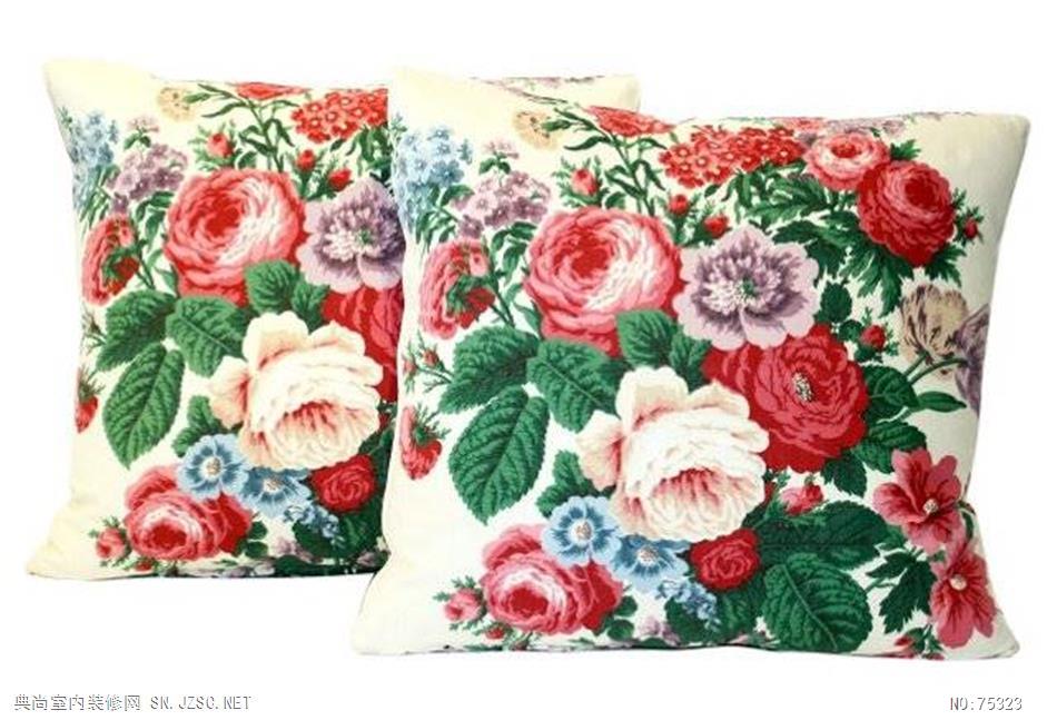 精品抱枕 (1719)