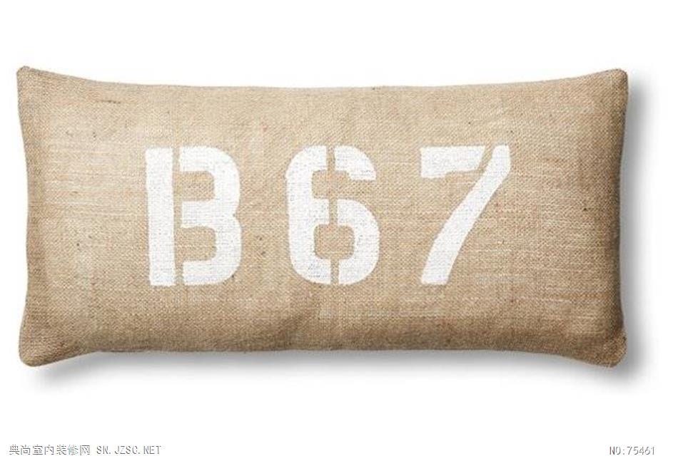 精品抱枕 (458)