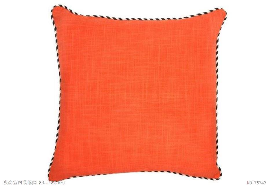 精品抱枕 (491)