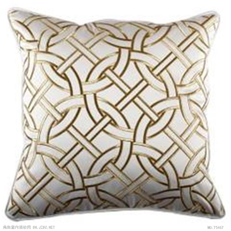 精品抱枕 (1795)