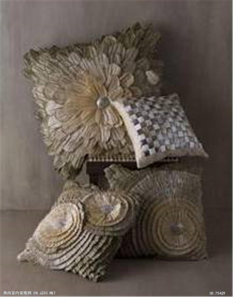 精品抱枕 (1774)