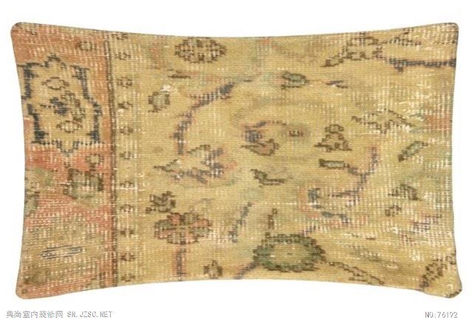 精品抱枕 (1341)