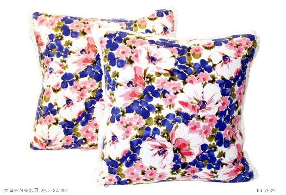 精品抱枕 (1718)