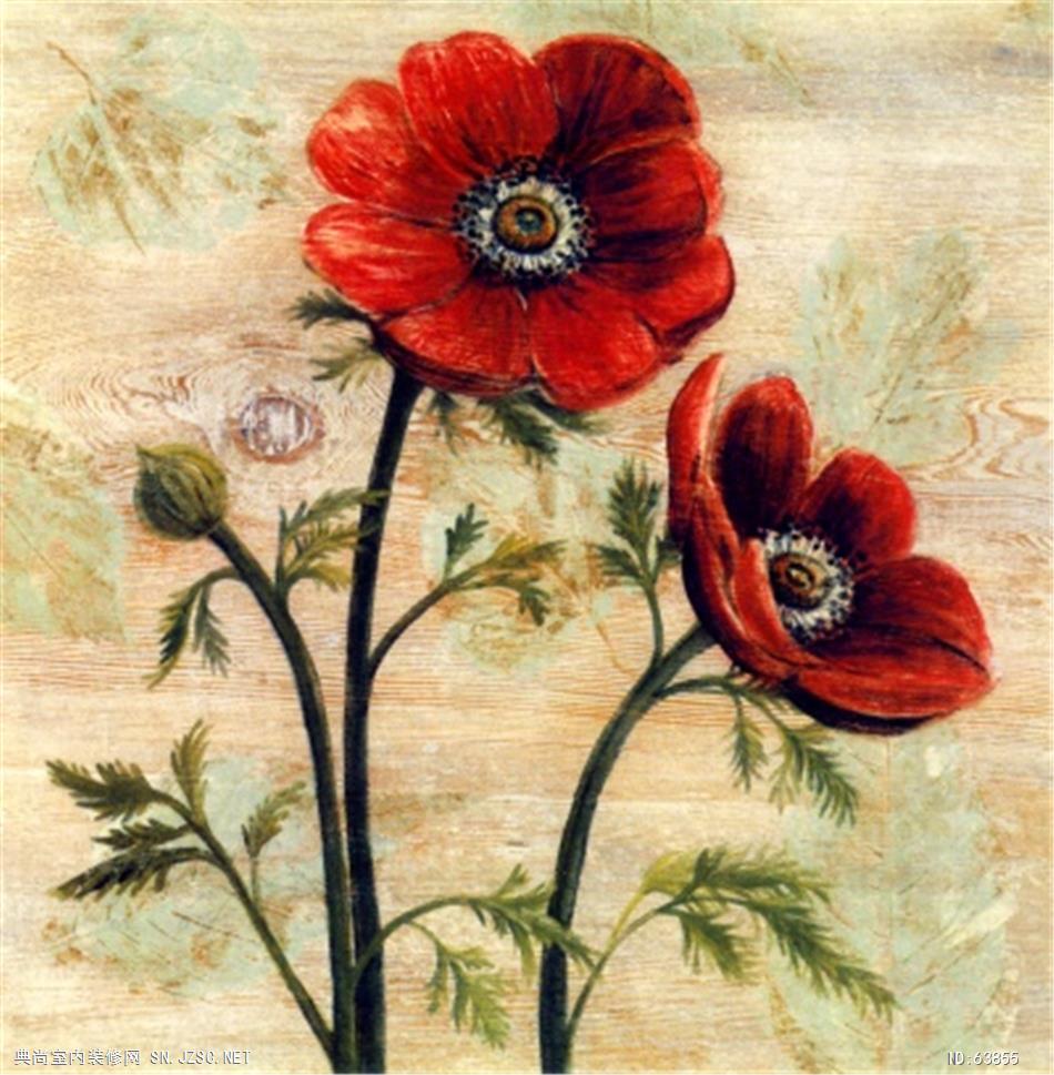 花卉画 (559)