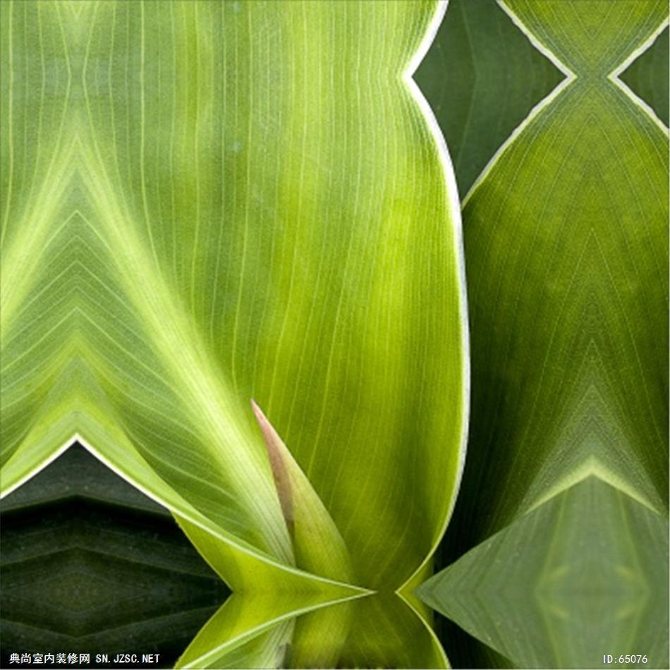 花卉画 (1253)