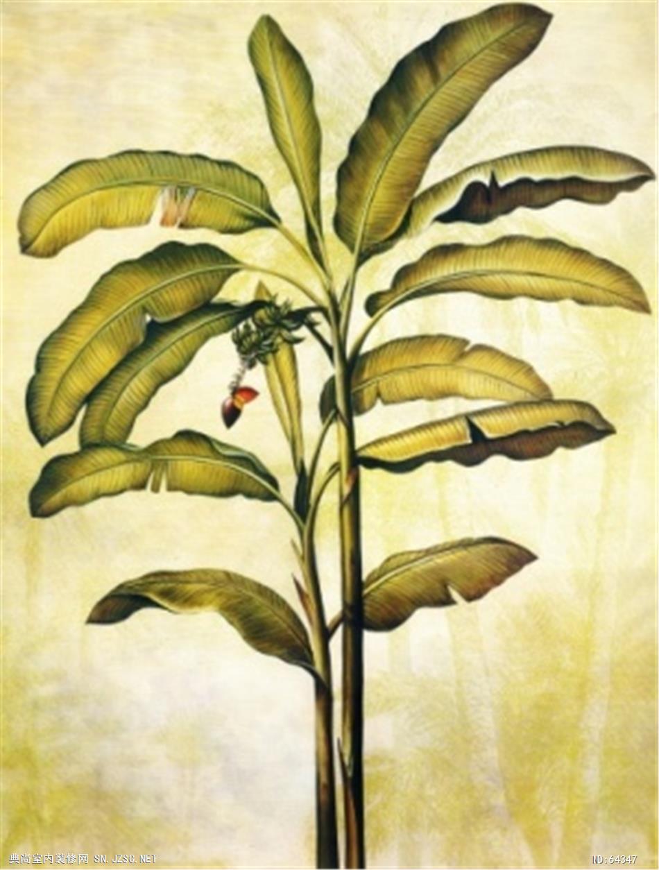 花卉画 (1638)