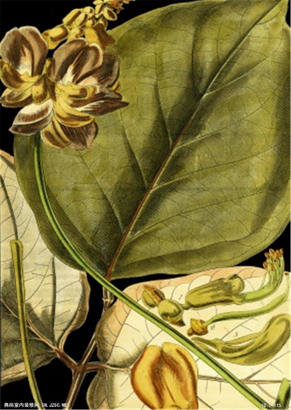 花卉画 (1527)