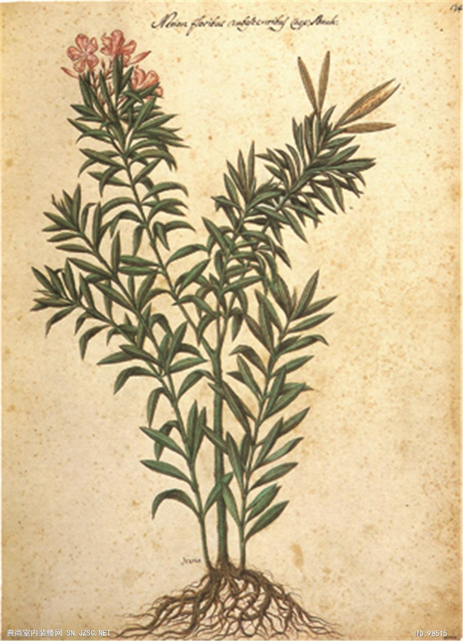 欧式风格挂画 (680)