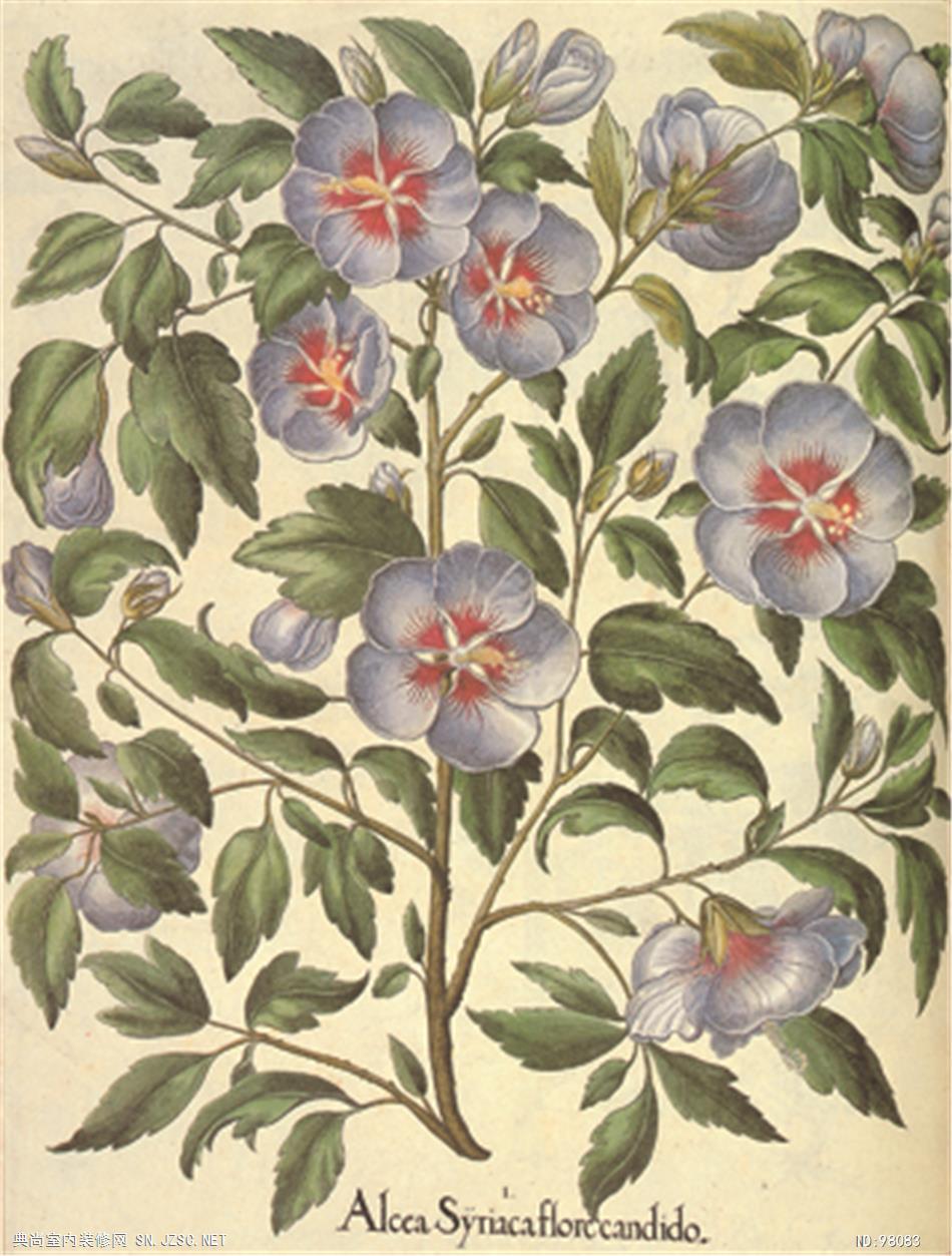 欧式风格挂画 (535)