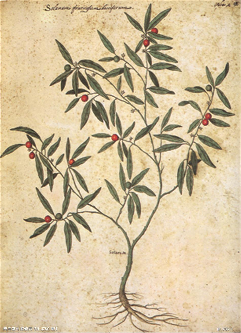 欧式风格挂画 (678)