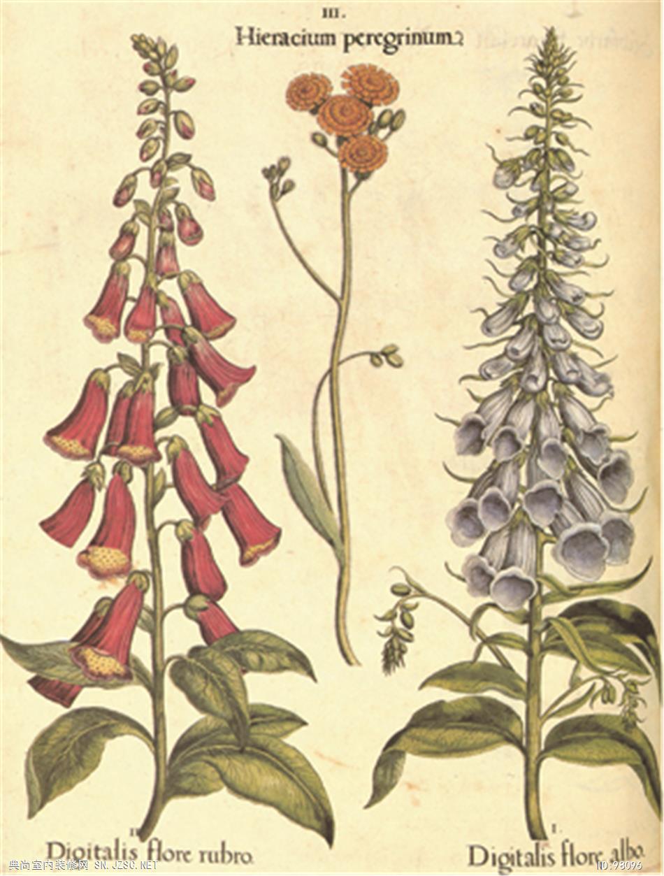 欧式风格挂画 (538)