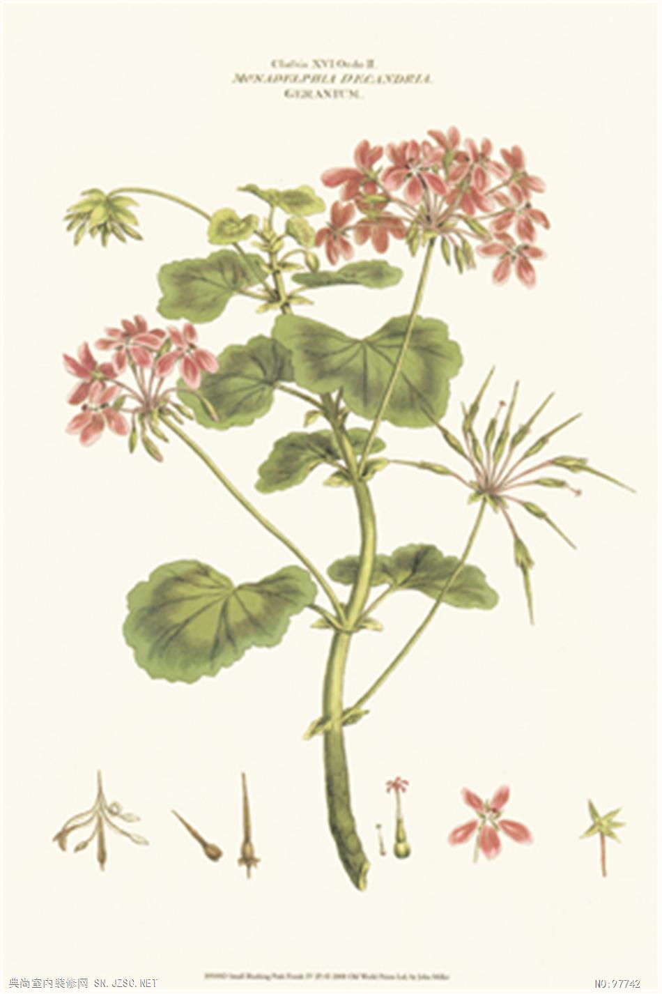 欧式风格挂画 (19)