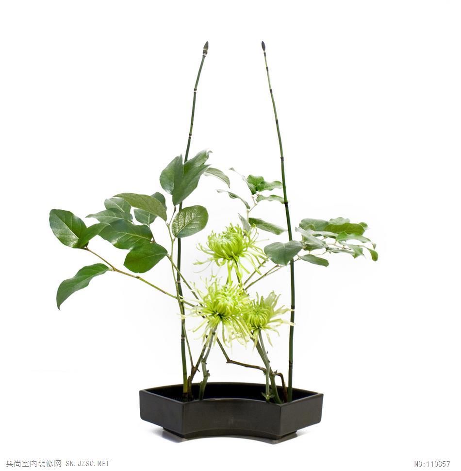 中式风格 (287)